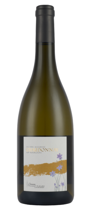 Bourgogne-Chardonnay-Blanc-2023-Domaine-de-Champ-Fleury